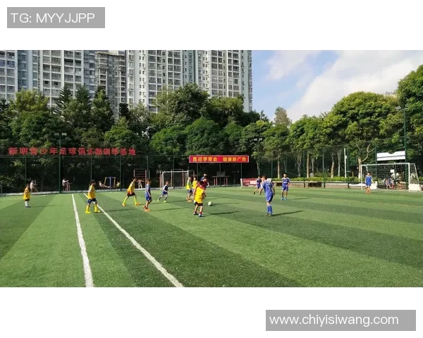 在绿茵场上挥洒汗水的瞬间踢足球的快乐与激情尽显无遗